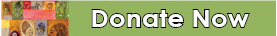 DonateNow2012