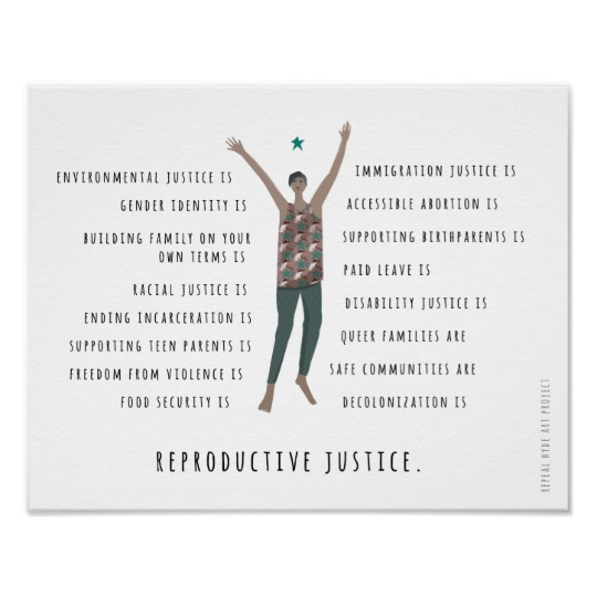 reproductive justice mini poster r73b536d195d44253860ac0c664e6a549 zvn 8byvr 540