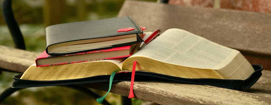 Lunchtime Seminar Lineup