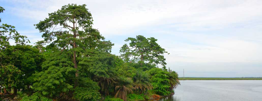 Homepage - Liberia conservation project