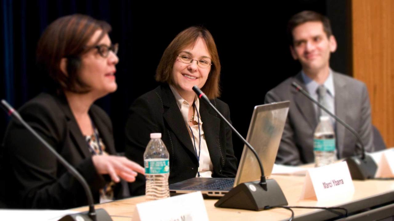 Sari Kerr speaking on panel