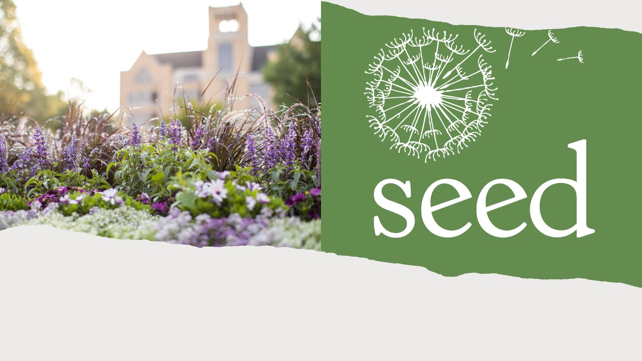 Seed logo and St. Thomas campus