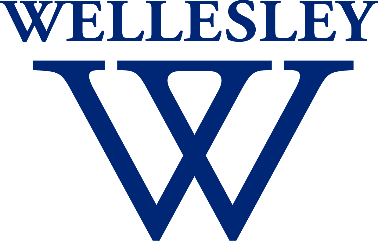 wellesley-centers-for-women-in-retrospect-how-it-all-began