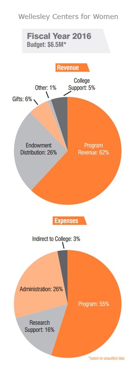 pie charts fy16