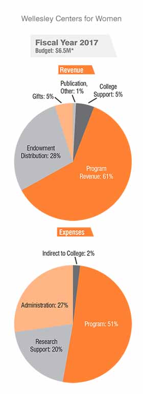 pie charts fy17