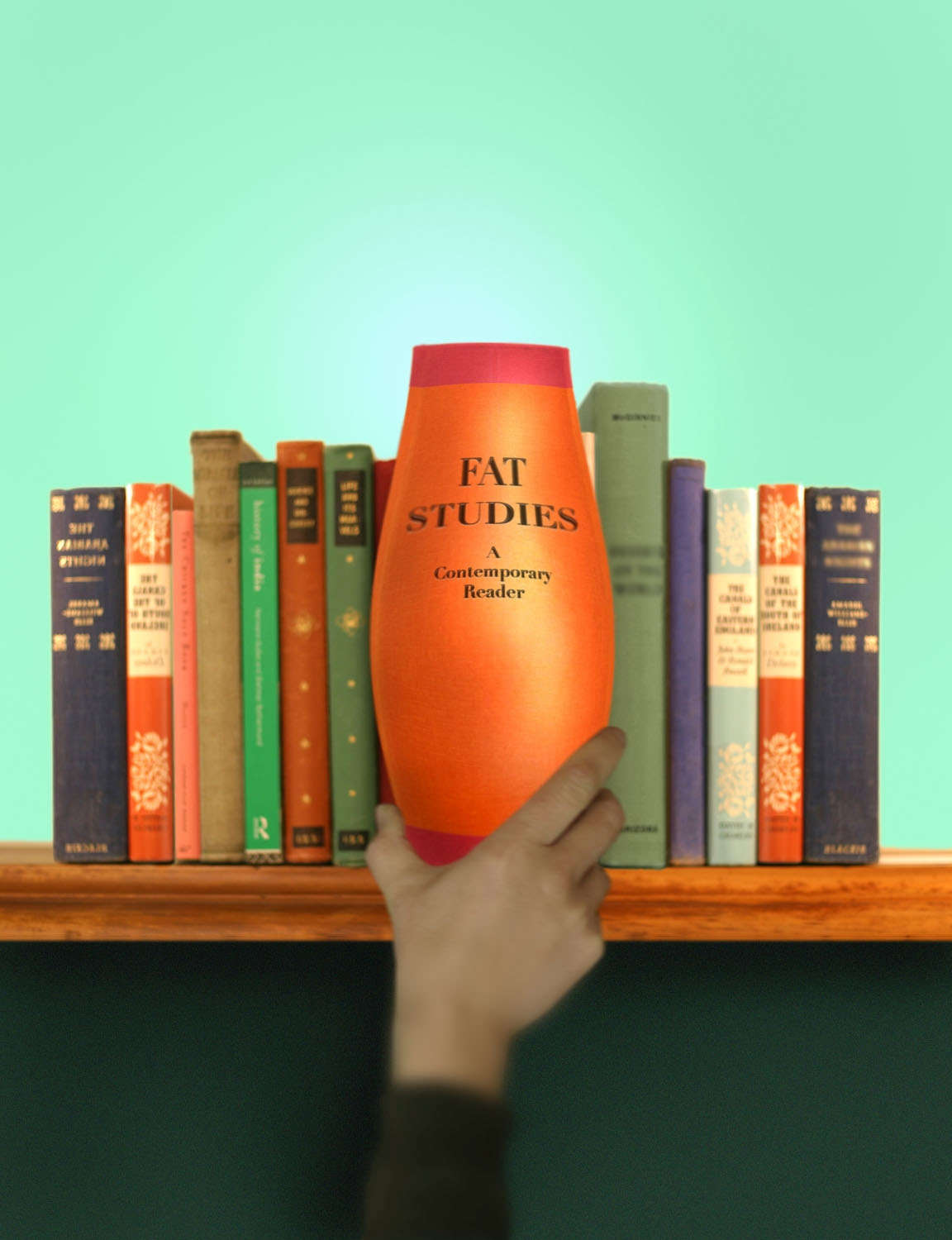 Cover of Fat Studies Reader